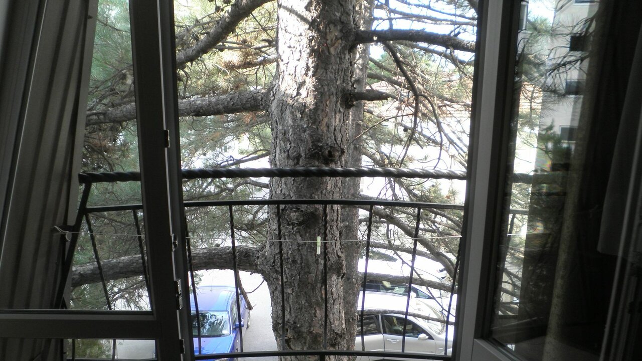 Гостевой дом Три сосны Феодосия