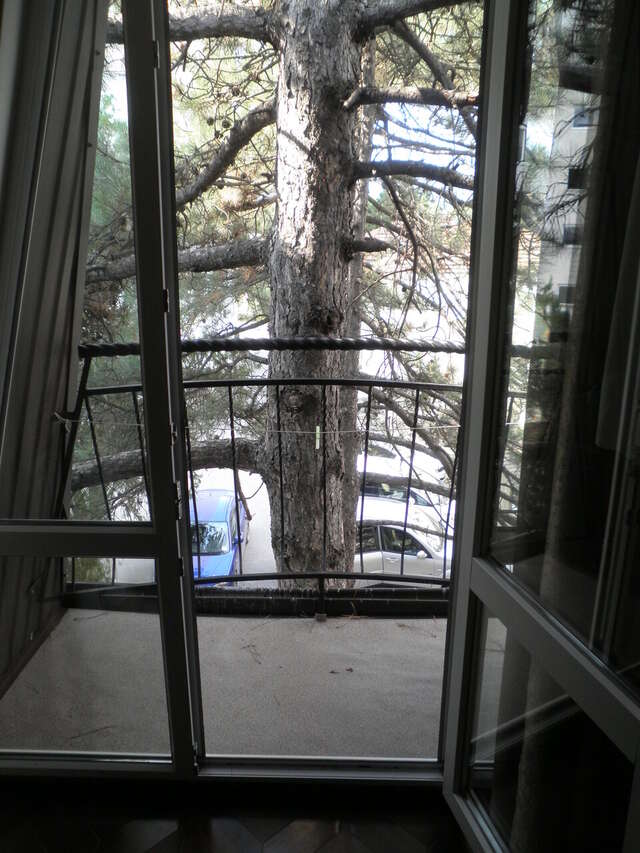 Гостевой дом Три сосны Феодосия-61