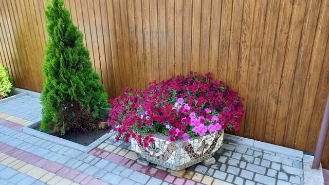 Гостевой дом Три сосны Феодосия-80