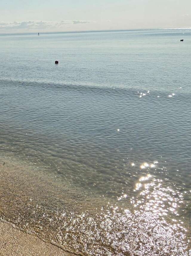 Гостевой дом Три сосны Феодосия-112