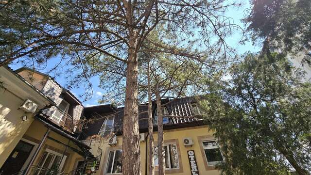 Гостевой дом Три сосны Феодосия-116