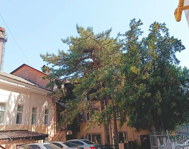 Гостевой дом Три сосны Феодосия-117