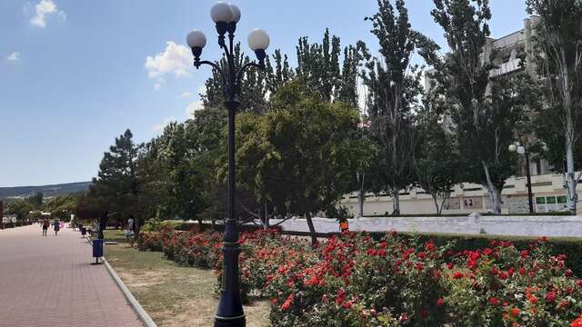 Гостевой дом Три сосны Феодосия-28